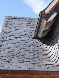 WILDE DECKUNG SAMACA